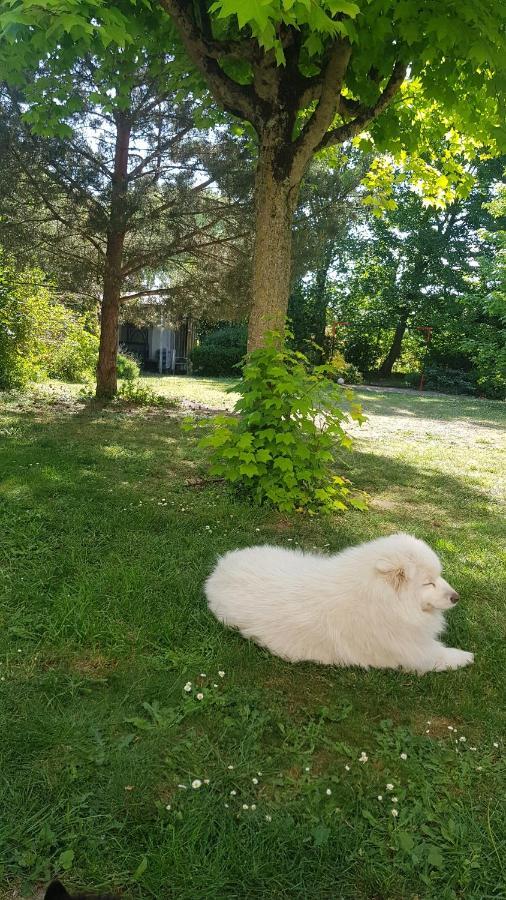 Le Cloitre Saint-Liphard Bed & Breakfast Meung-sur-Loire Bagian luar foto